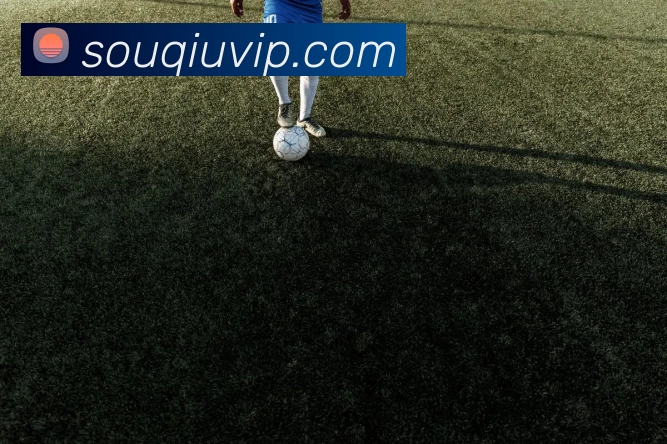 搜球吧直播官网平台生态图